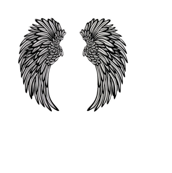 Lighted Angel Wings Wall